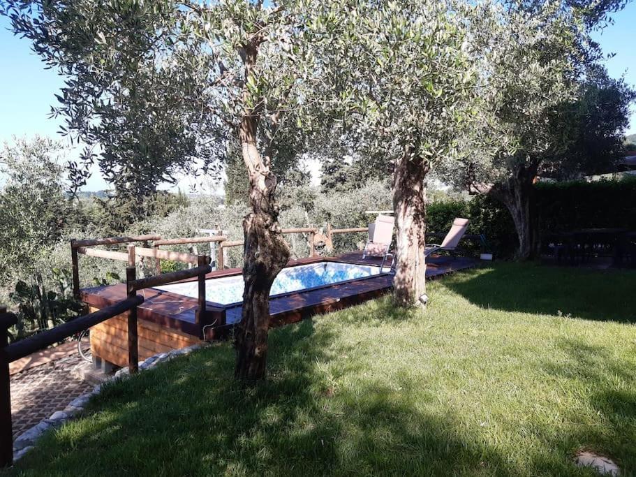 Villa Villacolle Massarosa Exterior foto